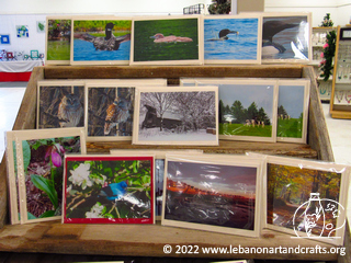 Blank photography cards